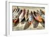 Canoes-Celebrate Life Gallery-Framed Giclee Print