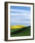 Canola and Wheat fields, Whitman County, Washington, USA-Charles Gurche-Framed Photographic Print