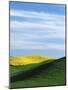 Canola and Wheat fields, Whitman County, Washington, USA-Charles Gurche-Mounted Photographic Print