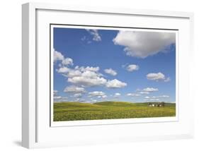 Canola Farm-Donald Paulson-Framed Giclee Print