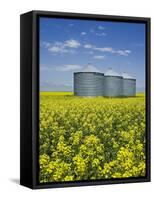 Canola Field in Saint Agathe, Winnipeg Region, Manitoba, Canada, North America-Richard Cummins-Framed Stretched Canvas