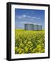 Canola Field in Saint Agathe, Winnipeg Region, Manitoba, Canada, North America-Richard Cummins-Framed Photographic Print