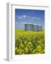 Canola Field in Saint Agathe, Winnipeg Region, Manitoba, Canada, North America-Richard Cummins-Framed Photographic Print