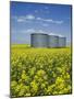 Canola Field in Saint Agathe, Winnipeg Region, Manitoba, Canada, North America-Richard Cummins-Mounted Photographic Print