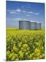 Canola Field in Saint Agathe, Winnipeg Region, Manitoba, Canada, North America-Richard Cummins-Mounted Photographic Print