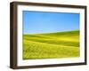 Canola field in Spring-Terry Eggers-Framed Photographic Print