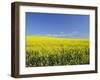 Canola Field Near Junee, New South Wales, Australia, Pacific-Jochen Schlenker-Framed Photographic Print