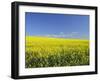 Canola Field Near Junee, New South Wales, Australia, Pacific-Jochen Schlenker-Framed Photographic Print