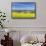 Canola Field-Rob Tilley-Framed Stretched Canvas displayed on a wall