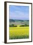 Canola Field-Rob Tilley-Framed Photographic Print