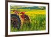 Canola Fields, town of Steptoe, Palouse Area, Washington State-Stuart Westmorland-Framed Photographic Print