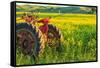 Canola Fields, town of Steptoe, Palouse Area, Washington State-Stuart Westmorland-Framed Stretched Canvas