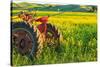 Canola Fields, town of Steptoe, Palouse Area, Washington State-Stuart Westmorland-Stretched Canvas