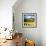 Canola Fields-Cherie Roe Dirksen-Framed Giclee Print displayed on a wall