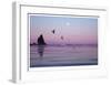 Canon Beach Sunset-Donald Paulson-Framed Giclee Print