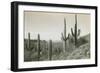 Canon des Coches, Tortolita Mountains, USA-D. T. MacDougal-Framed Photographic Print