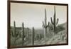Canon des Coches, Tortolita Mountains, USA-D. T. MacDougal-Framed Photographic Print