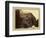 Canon of the Rio Las Animas (Colorado), C.1880-William Henry Jackson-Framed Premium Giclee Print