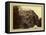 Canon of the Rio Las Animas (Colorado), C.1880-William Henry Jackson-Framed Stretched Canvas