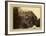 Canon of the Rio Las Animas (Colorado), C.1880-William Henry Jackson-Framed Giclee Print