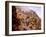 Canon of the Rio Las Animas, Colorado-null-Framed Photo