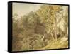 Canonteign, Devon, 1804-John White Abbott-Framed Stretched Canvas