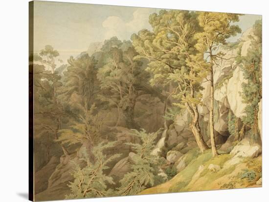 Canonteign, Devon, 1804-John White Abbott-Stretched Canvas