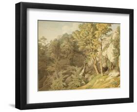 Canonteign, Devon, 1804-John White Abbott-Framed Giclee Print