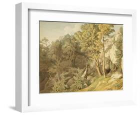 Canonteign, Devon, 1804-John White Abbott-Framed Giclee Print