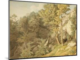 Canonteign, Devon, 1804-John White Abbott-Mounted Giclee Print