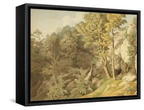 Canonteign, Devon, 1804-John White Abbott-Framed Stretched Canvas