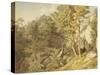 Canonteign, Devon, 1804-John White Abbott-Stretched Canvas