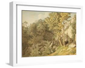Canonteign, Devon, 1804-John White Abbott-Framed Giclee Print
