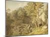 Canonteign, Devon, 1804-John White Abbott-Mounted Giclee Print