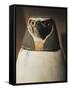 Canopic Jar Depicting Falcon-Headed Qebehsenuef, Protector of Intestines-null-Framed Stretched Canvas