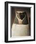 Canopic Jar Depicting Falcon-Headed Qebehsenuef, Protector of Intestines-null-Framed Giclee Print