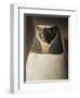 Canopic Jar Depicting Falcon-Headed Qebehsenuef, Protector of Intestines-null-Framed Giclee Print