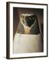 Canopic Jar Depicting Falcon-Headed Qebehsenuef, Protector of Intestines-null-Framed Giclee Print