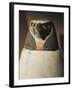Canopic Jar Depicting Falcon-Headed Qebehsenuef, Protector of Intestines-null-Framed Giclee Print
