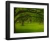 Canopu-Irene Suchocki-Framed Photographic Print