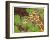 Canopy Explorer-Ric Stultz-Framed Giclee Print