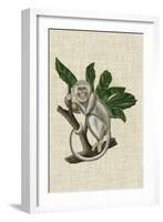 Canopy Monkey II-Naomi McCavitt-Framed Art Print