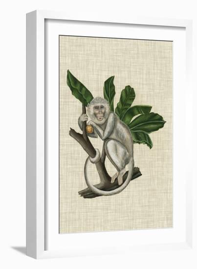 Canopy Monkey II-Naomi McCavitt-Framed Art Print