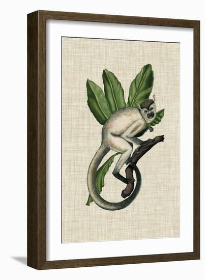 Canopy Monkey IV-Naomi McCavitt-Framed Art Print