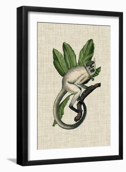 Canopy Monkey IV-Naomi McCavitt-Framed Art Print