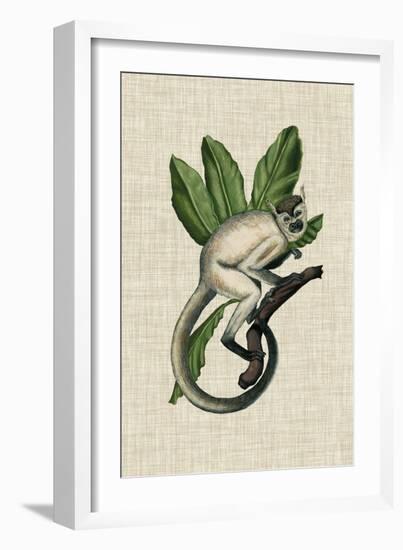 Canopy Monkey IV-Naomi McCavitt-Framed Art Print