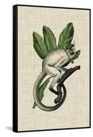 Canopy Monkey IV-Naomi McCavitt-Framed Stretched Canvas