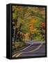 Canopy of Autumn Color over Highway 41, Copper Harbor, Michigan, USA-Chuck Haney-Framed Stretched Canvas