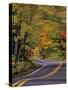 Canopy of Autumn Color over Highway 41, Copper Harbor, Michigan, USA-Chuck Haney-Stretched Canvas