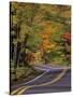 Canopy of Autumn Color over Highway 41, Copper Harbor, Michigan, USA-Chuck Haney-Stretched Canvas